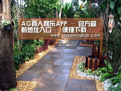 产品展示标题四